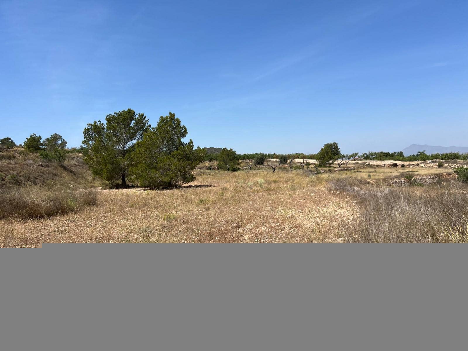 Grunde uden byggetilladelser til salg i Barbarroja - € 50.000 (Ref: 9050841)