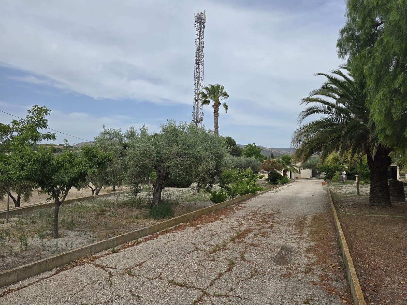 Finca/Landhuis te koop in Sax met zwembad garage - € 149.995 (Ref: 9065622)