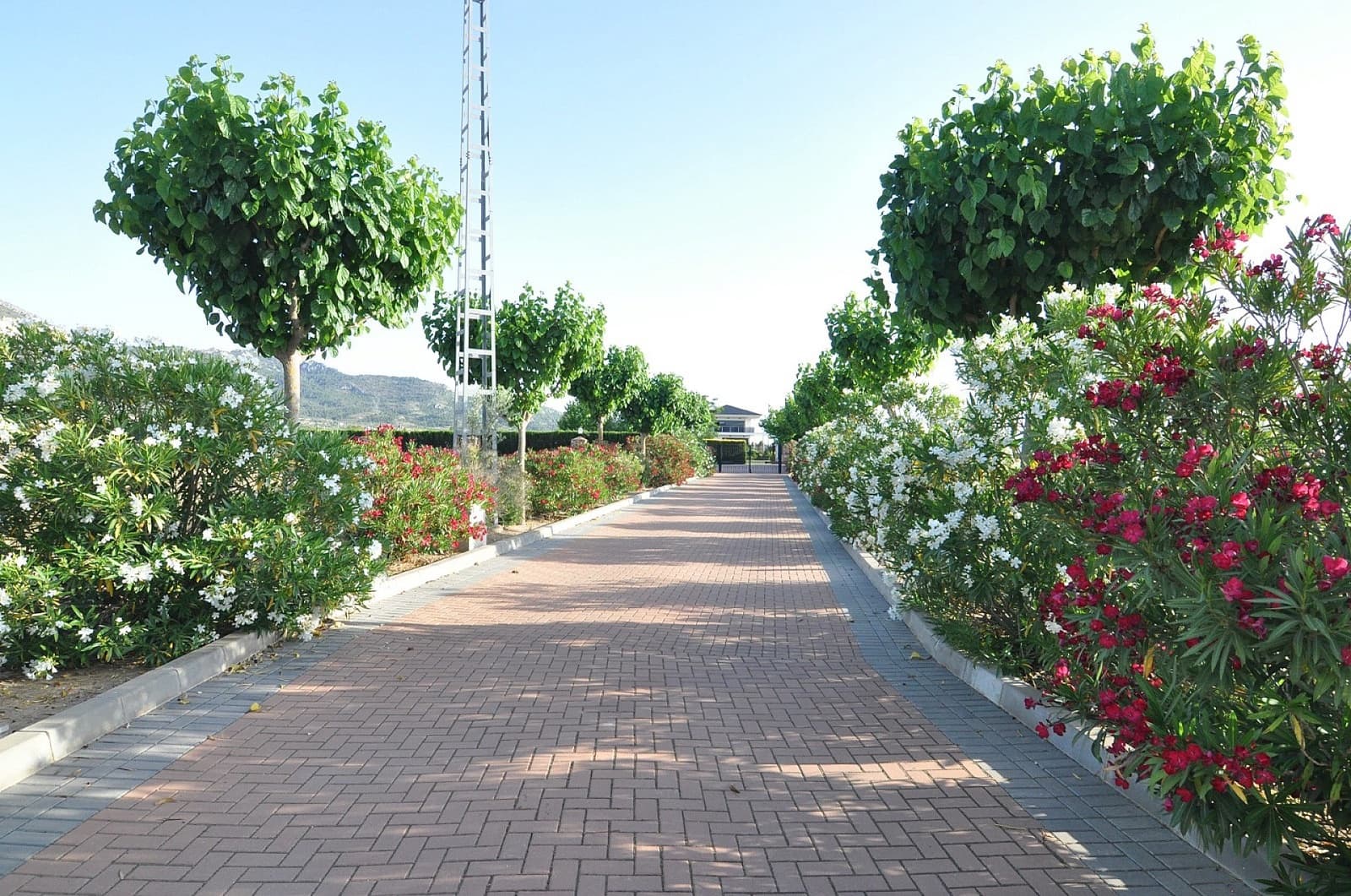 4 bedroom Villa for sale in Villena with pool garage - € 1,250,000 (Ref: 9074106)