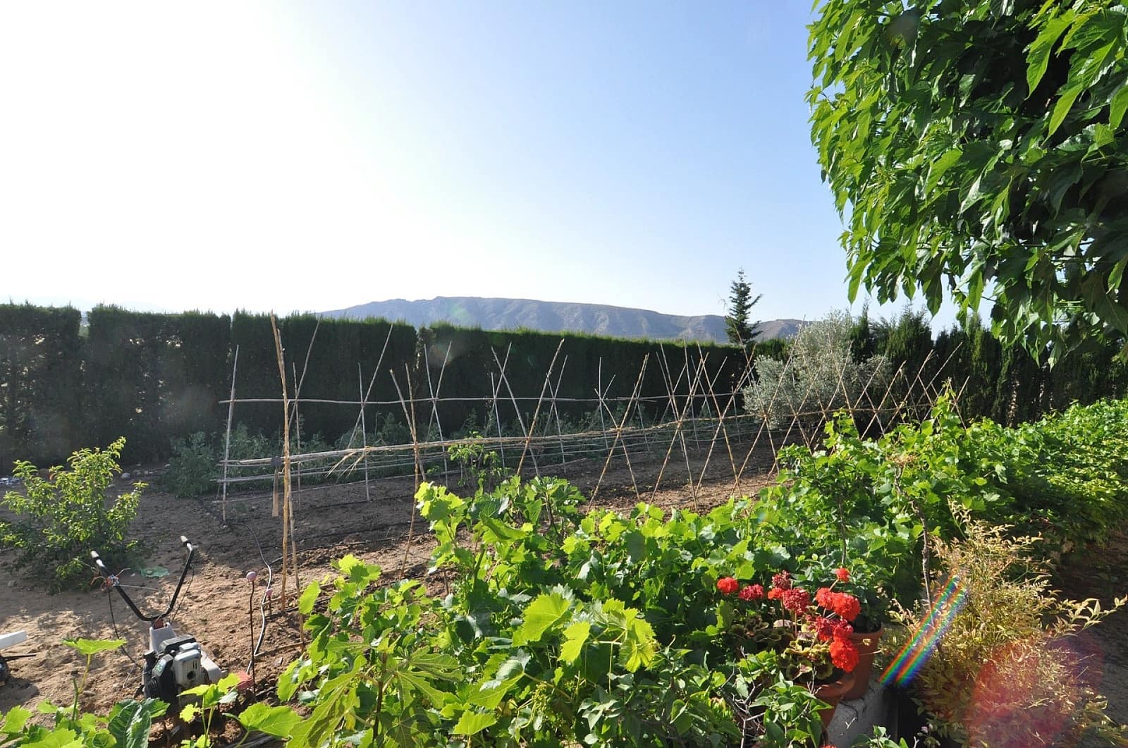 4 bedroom Villa for sale in Villena with pool garage - € 1,250,000 (Ref: 9074106)