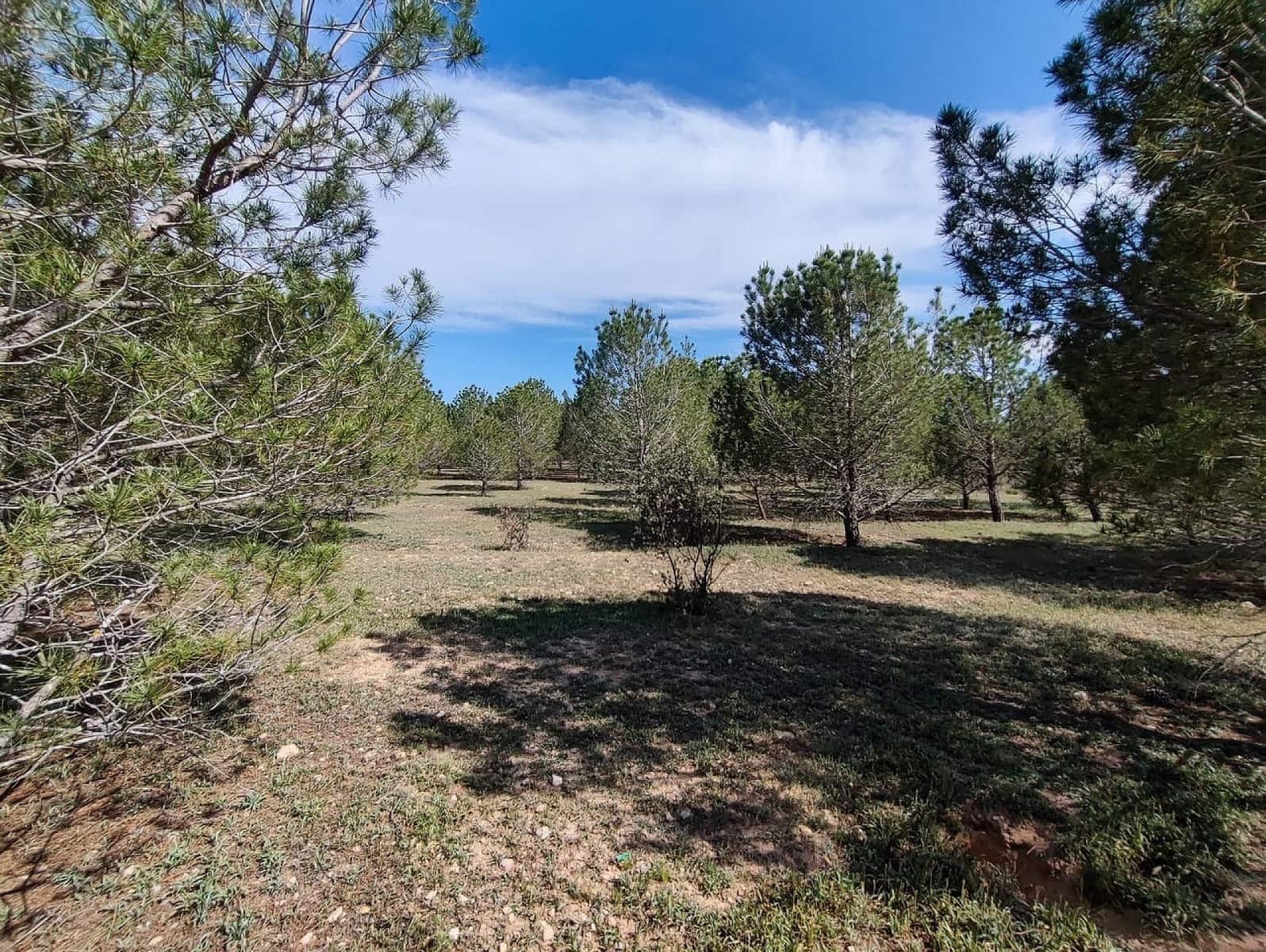 5 soverom Finca/Herregård til salgs i Yecla med garasje - € 675 000 (Ref: 9074308)