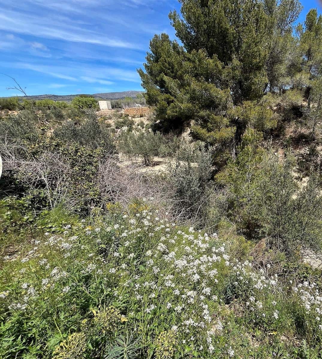 2 soveværelse Finca/Landehus til salg i Ibi - € 149.950 (Ref: 9082667)