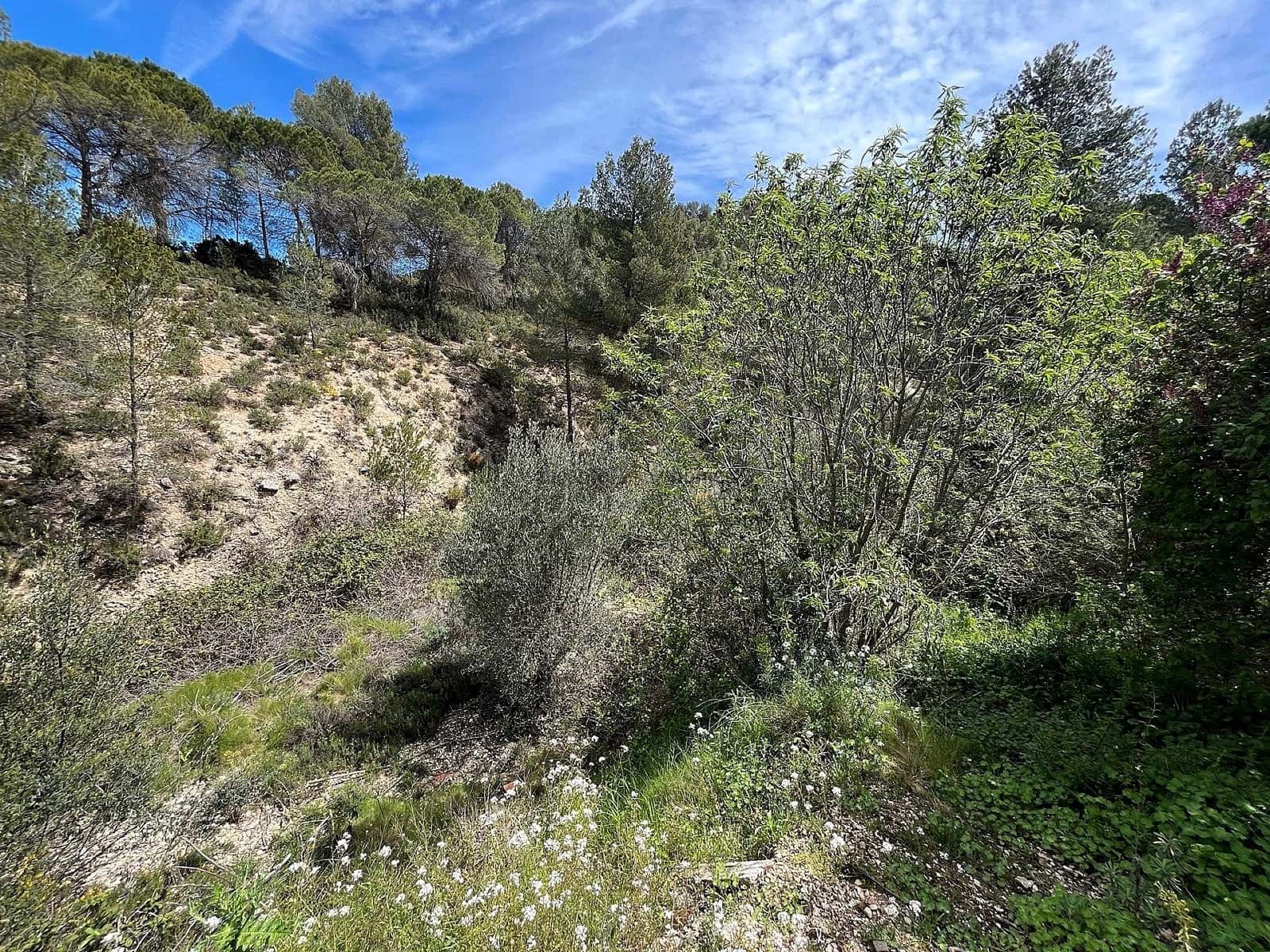 2 soverom Finca/Herregård til salgs i Ibi - € 149 950 (Ref: 9082667)