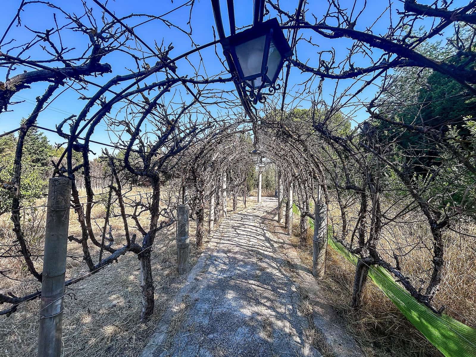 4 sypialnia Finka/Dom wiejski na sprzedaż w Sax z basenem garażem - 227 000 € (Ref: 9101514)