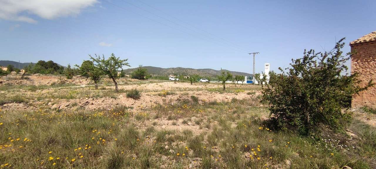 Finca/Country House for sale in Pinoso - € 49,900 (Ref: 9115916)