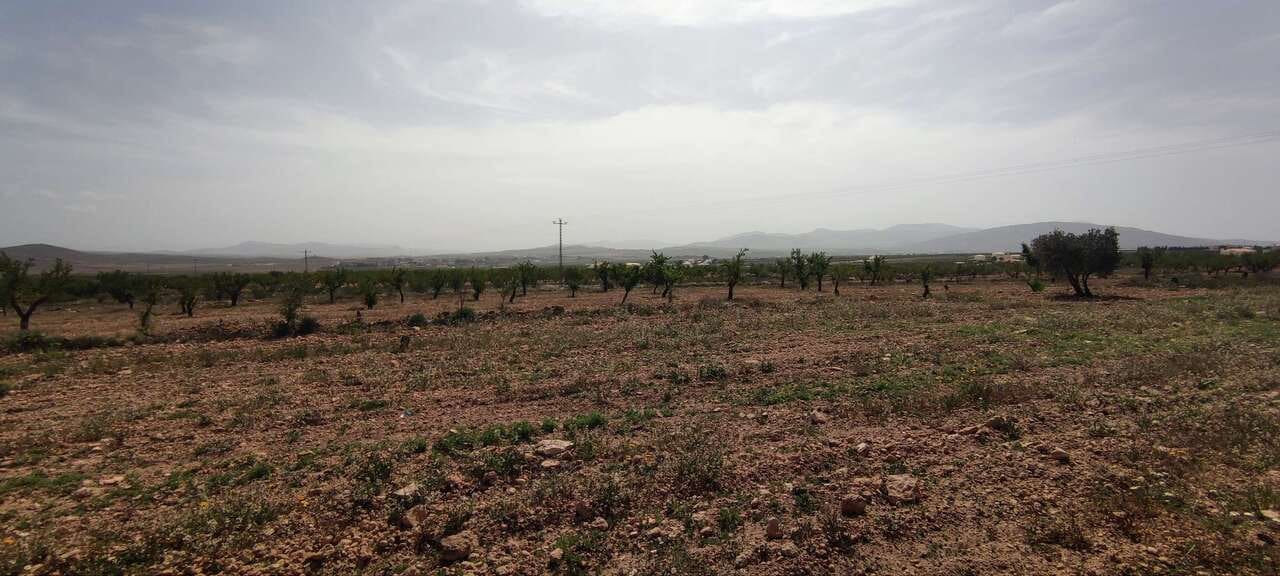 Finca/Country House for sale in Pinoso - € 49,900 (Ref: 9115916)