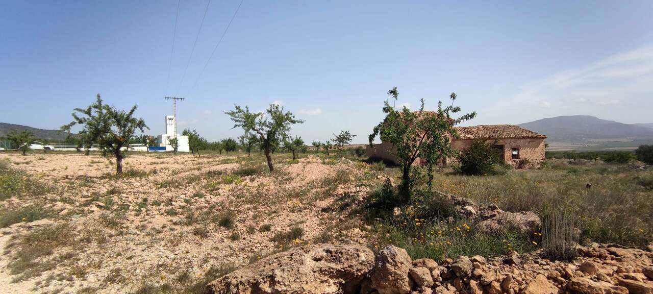 Finca/Country House for sale in Pinoso - € 49,900 (Ref: 9115916)