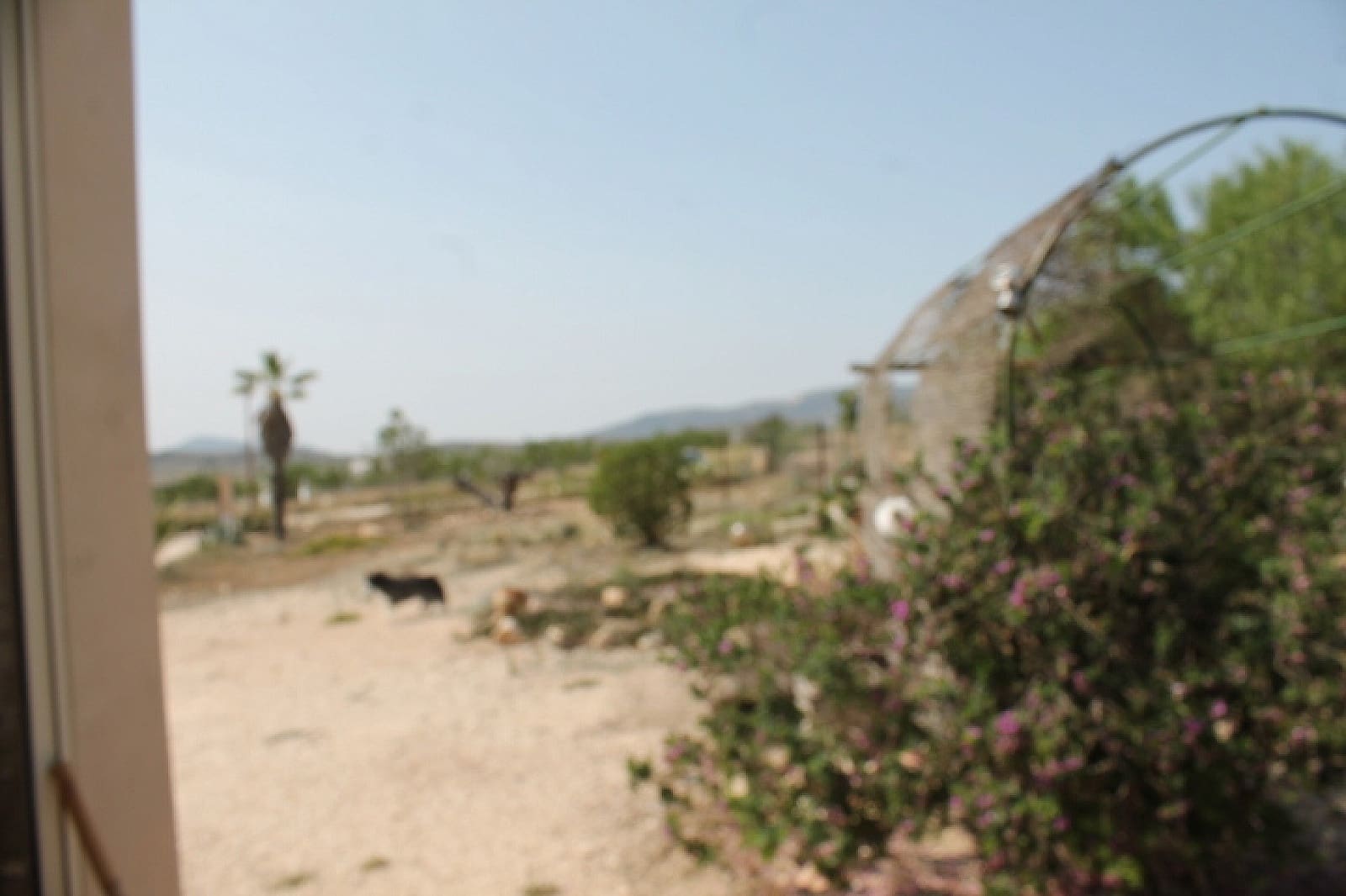 4 soveværelse Finca/Landehus til salg i Pinoso med garage - € 324.000 (Ref: 9141893)