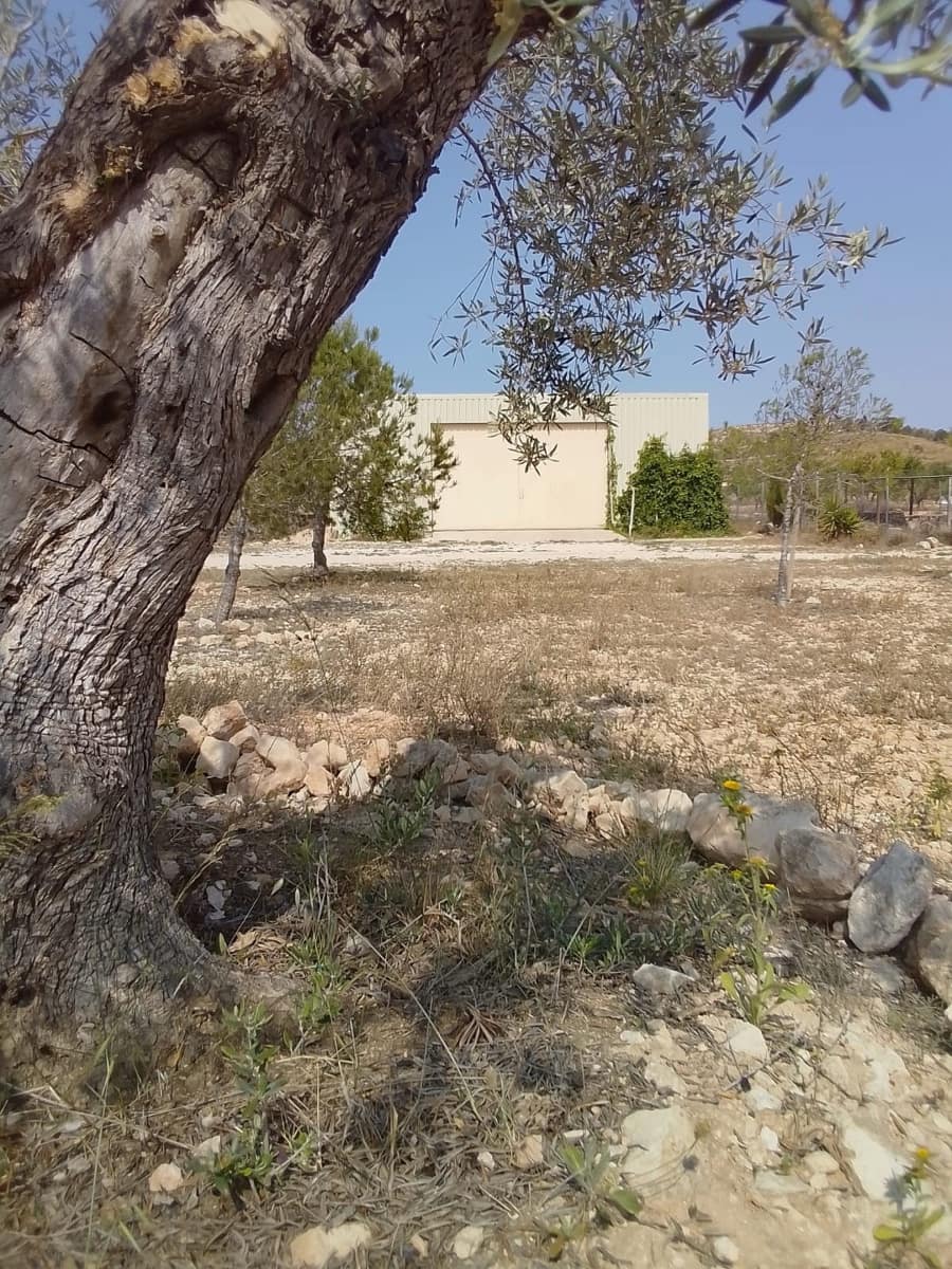 4 soveværelse Finca/Landehus til salg i Pinoso med garage - € 324.000 (Ref: 9141893)