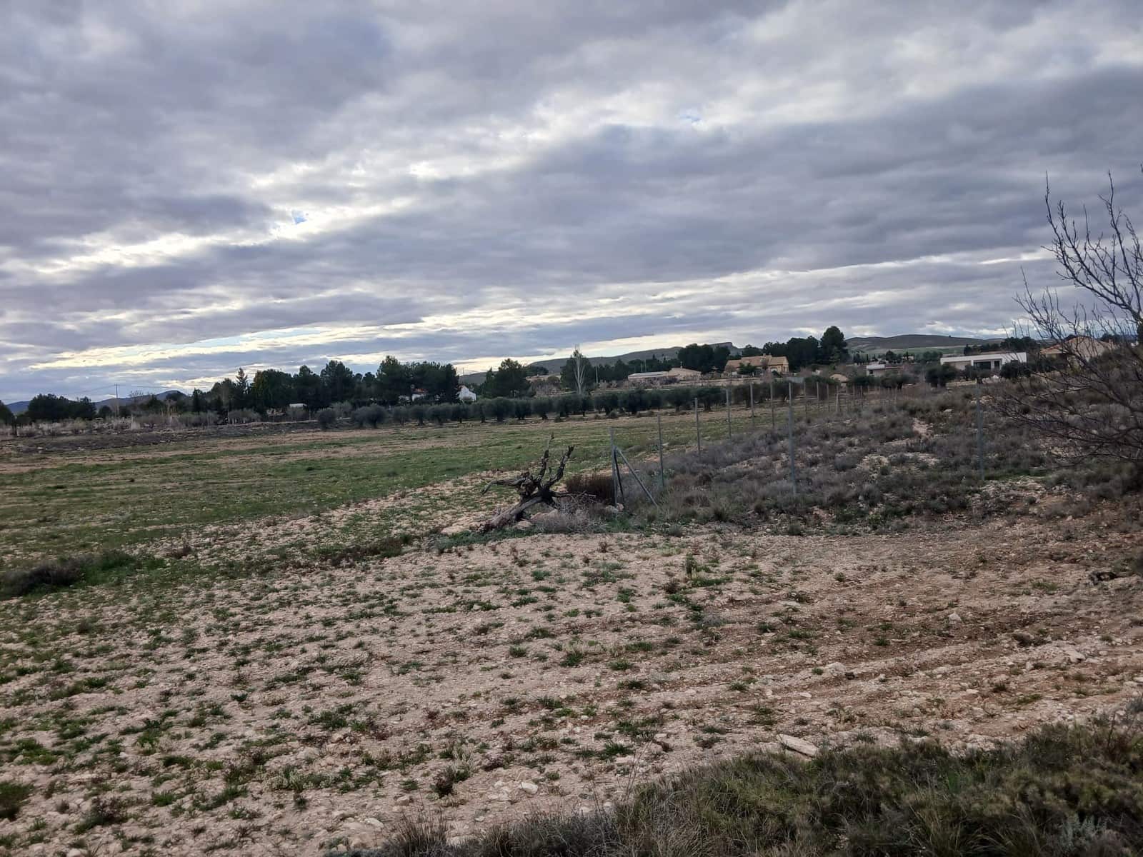 Grunde uden byggetilladelser til salg i Yecla - € 32.000 (Ref: 9165563)