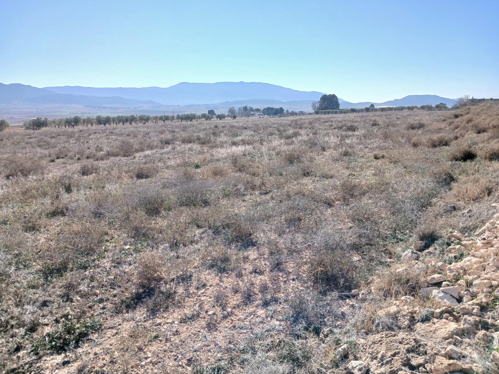 Mark till salu i Yecla - 34 000 € (Ref: 9165564)