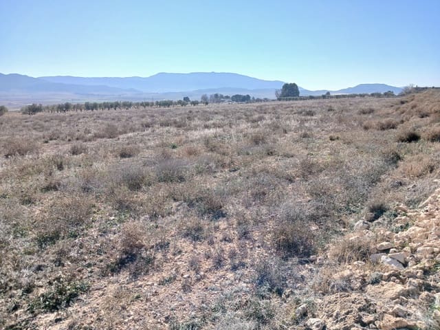 Mark till salu i Yecla - 34 000 € (Ref: 9165564)