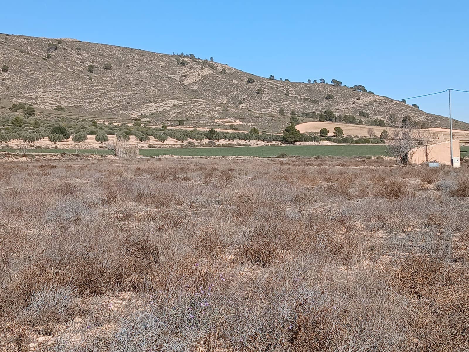 Mark till salu i Yecla - 34 000 € (Ref: 9165564)