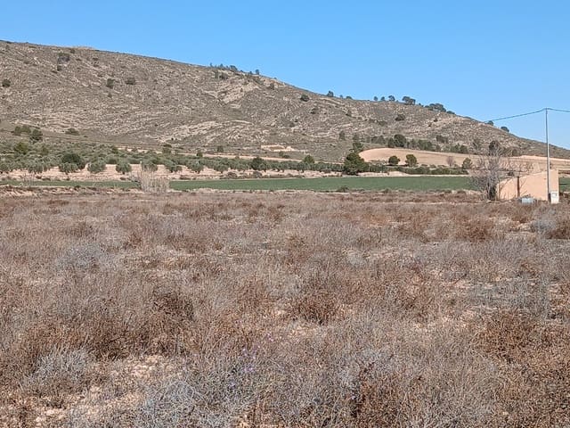 Mark till salu i Yecla - 34 000 € (Ref: 9165564)