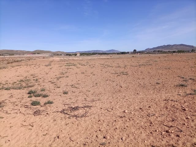 Mark till salu i Yecla - 34 000 € (Ref: 9165565)