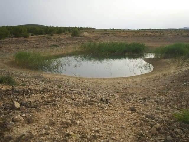 Grunde uden byggetilladelser til salg i Yecla - € 570.000 (Ref: 9165566)