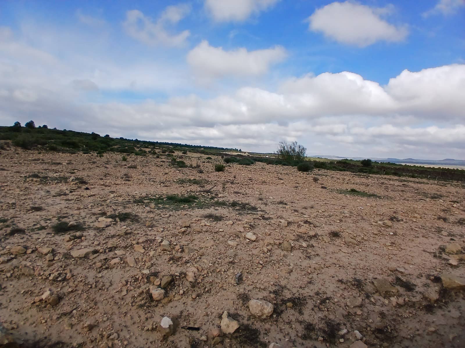 Grunde uden byggetilladelser til salg i Yecla - € 570.000 (Ref: 9165566)