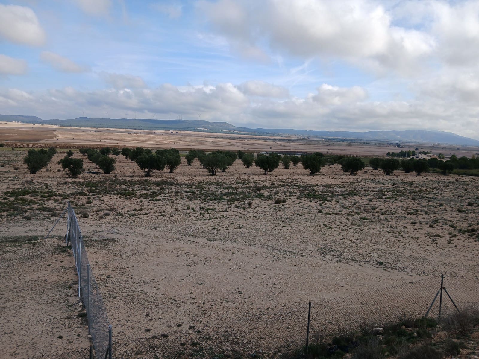 Grunde uden byggetilladelser til salg i Yecla - € 570.000 (Ref: 9165566)