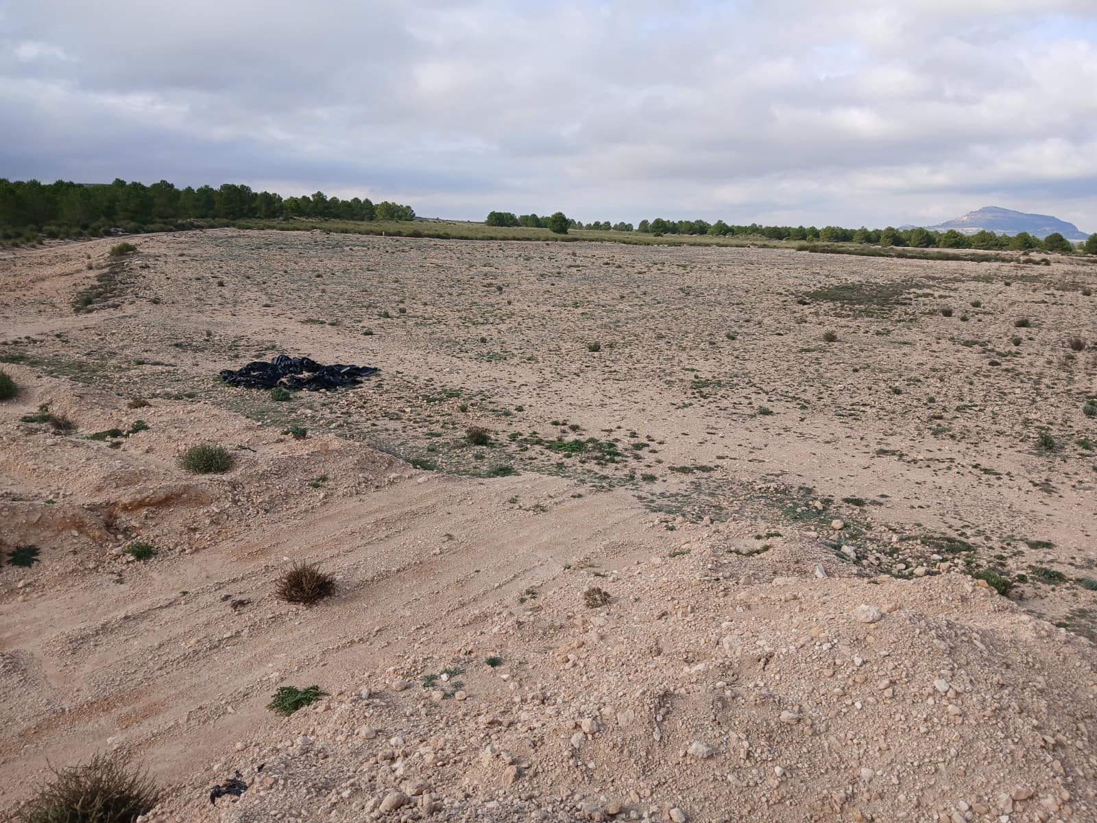 Grunde uden byggetilladelser til salg i Yecla - € 570.000 (Ref: 9165566)