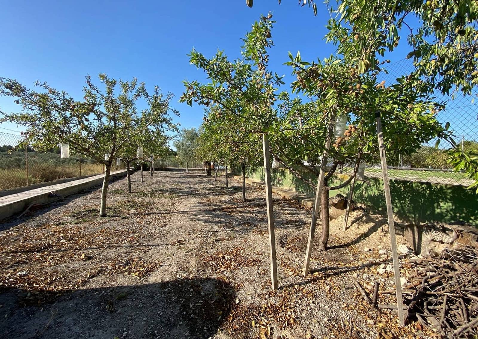 5 bedroom Villa for sale in Sax with pool garage - € 299,995 (Ref: 9191383)