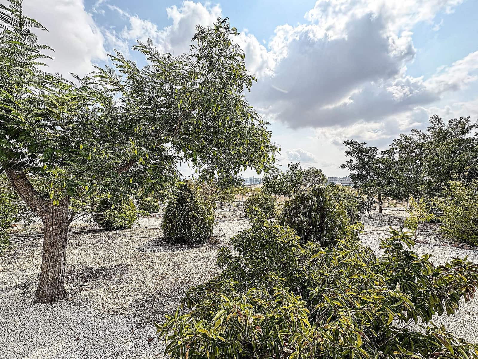 5 soverom Villa til salgs i Pinoso med svømmebasseng - € 425 000 (Ref: 9191742)