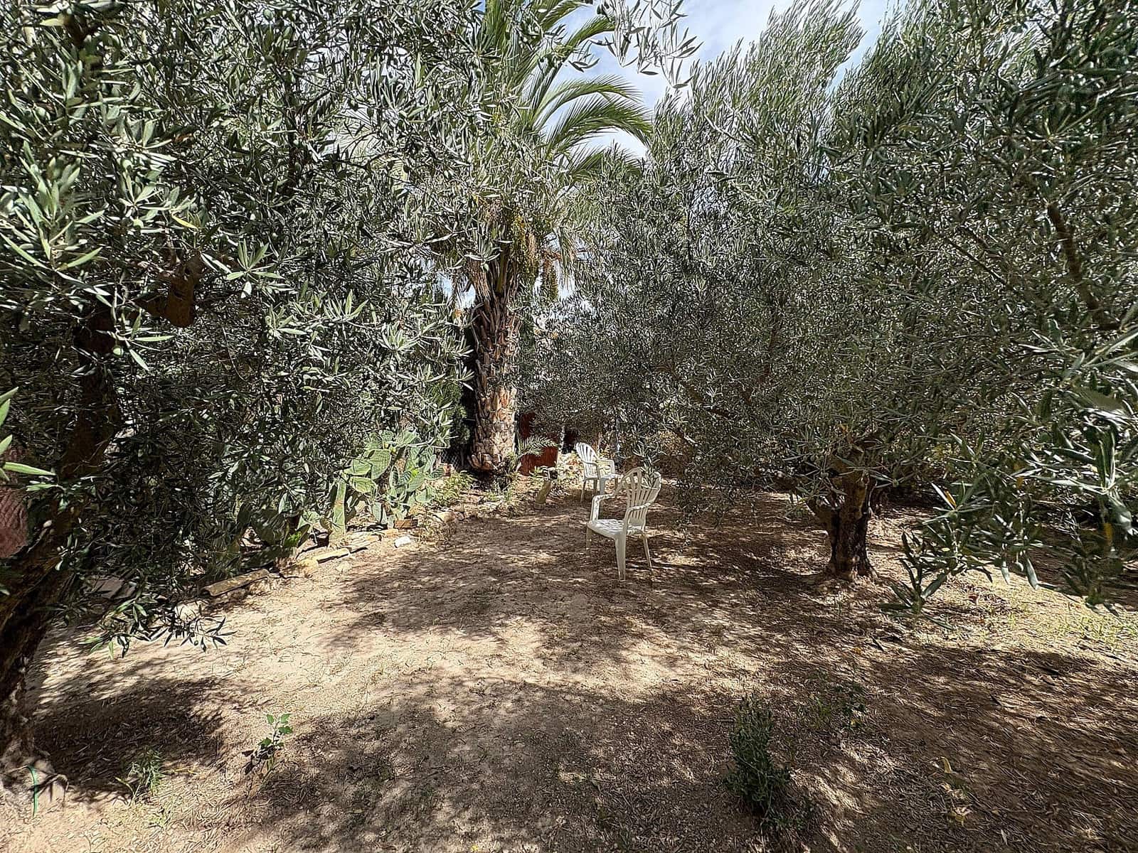 6 soverom Kjedet enebolig til salgs i Pinoso med garasje - € 85 000 (Ref: 9196943)