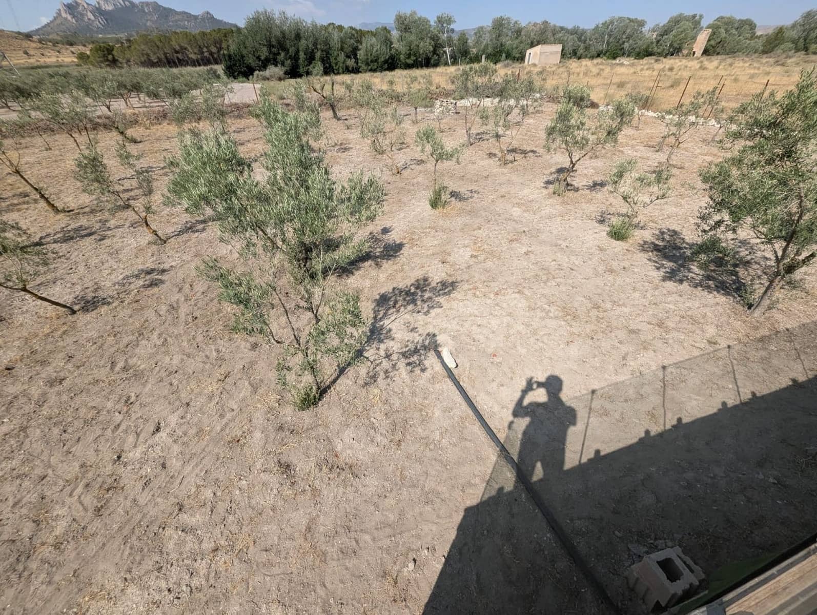 3 bedroom Finca/Country House for sale in Sax - € 209,000 (Ref: 9201700)