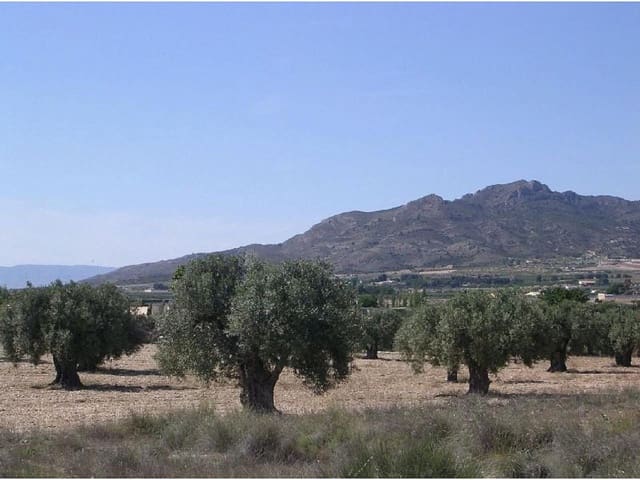 Undeveloped Land for sale in Sax - € 45,000 (Ref: 9202887)