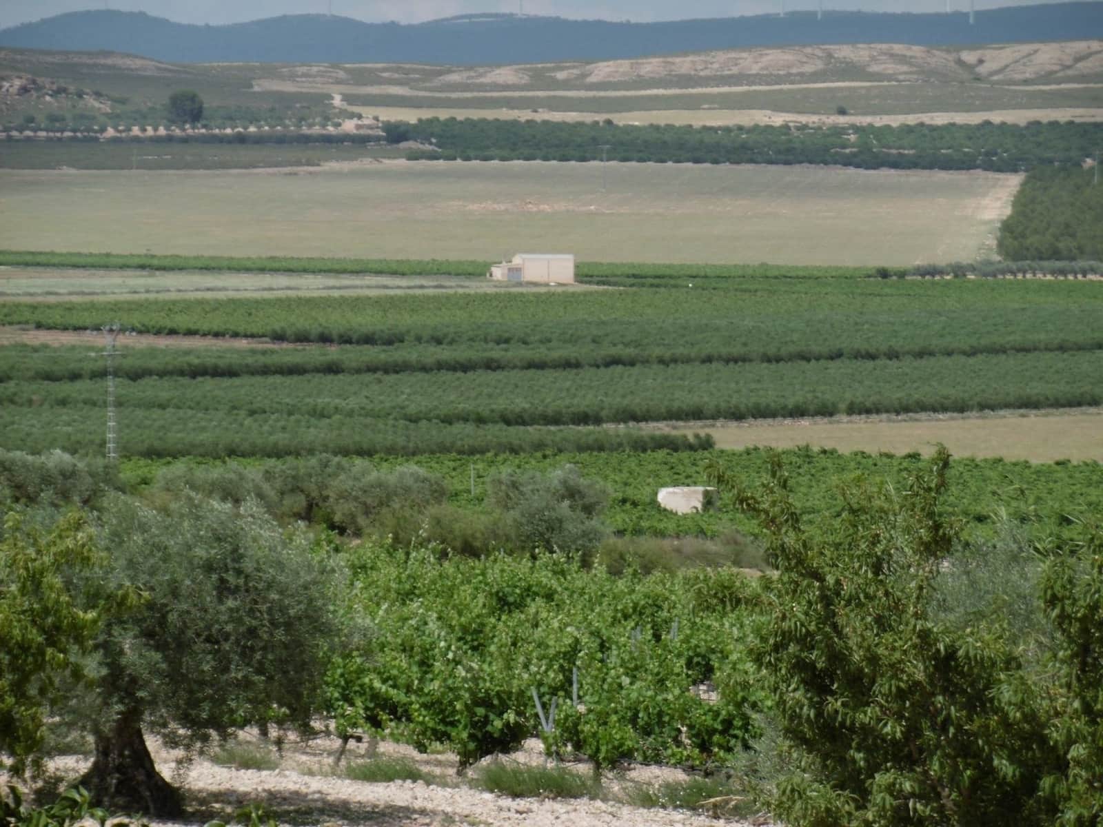 6 soveværelse Villa til salg i Yecla med swimmingpool garage - € 189.000 (Ref: 9208859)