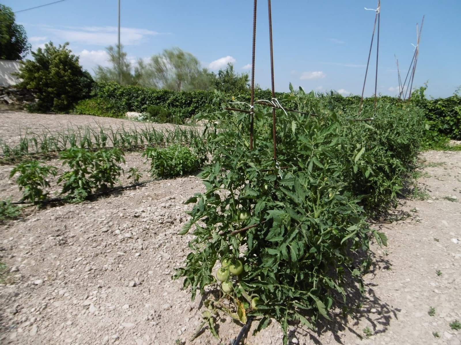 6 soveværelse Villa til salg i Yecla med swimmingpool garage - € 189.000 (Ref: 9208859)