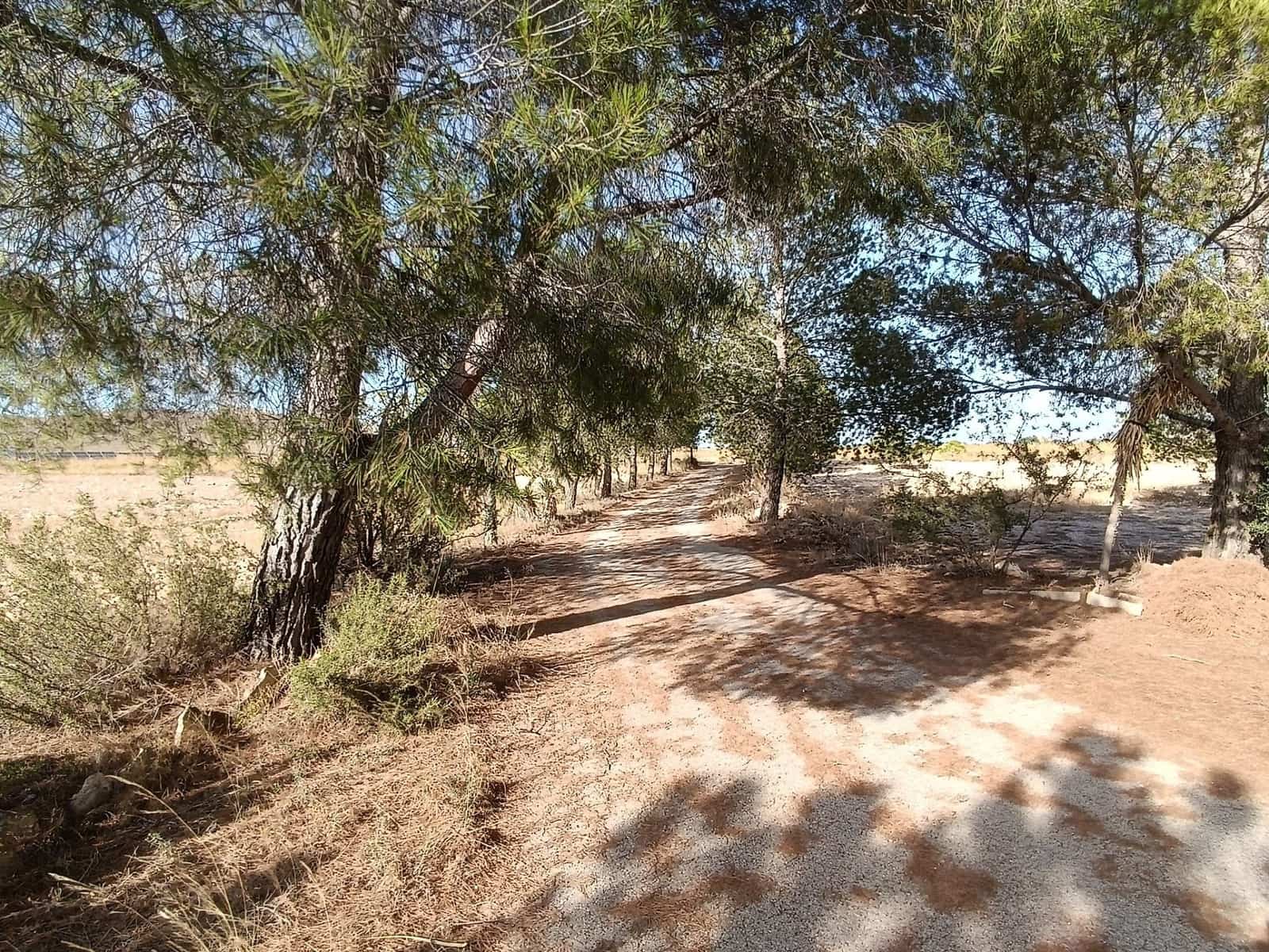 3 soveværelse Villa til salg i Yecla med swimmingpool - € 195.000 (Ref: 9208860)