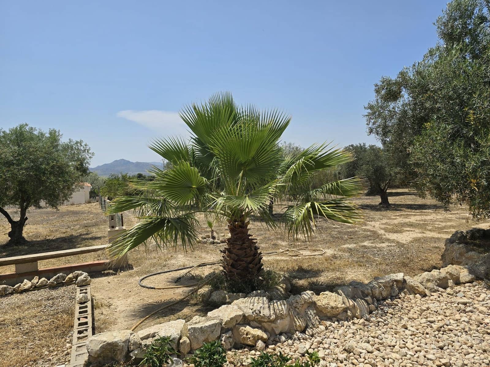 4 soveværelse Villa til salg i Sax - € 229.995 (Ref: 9208864)