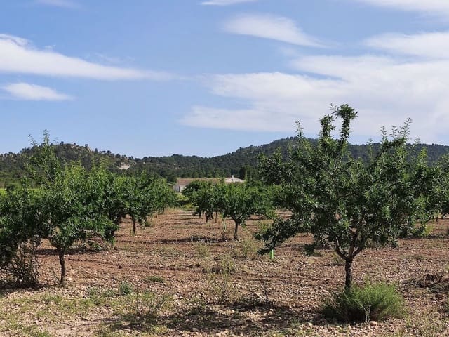 6 bedroom Finca/Country House for sale in Yecla - € 675,000 (Ref: 9208865)