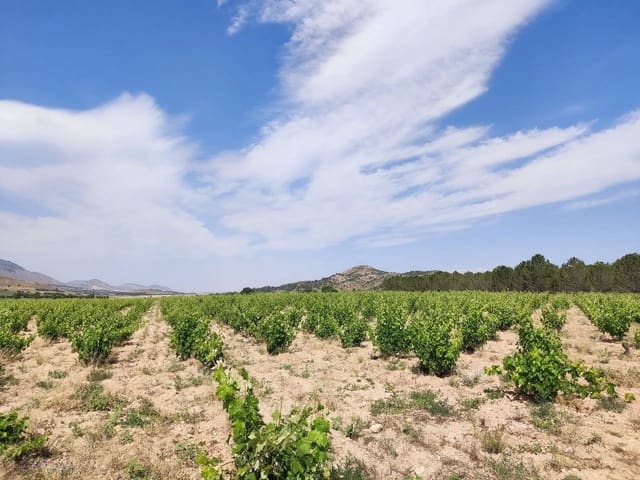 6 bedroom Finca/Country House for sale in Yecla - € 675,000 (Ref: 9208865)