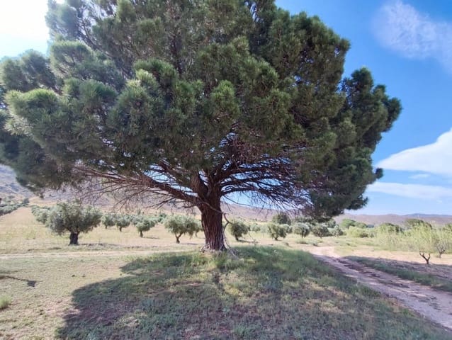 6 bedroom Finca/Country House for sale in Yecla - € 675,000 (Ref: 9208865)