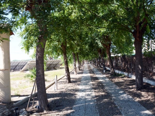 6 sypialnia Willa na sprzedaż w Daya Vieja z basenem - 1 100 000 € (Ref: 9208869)