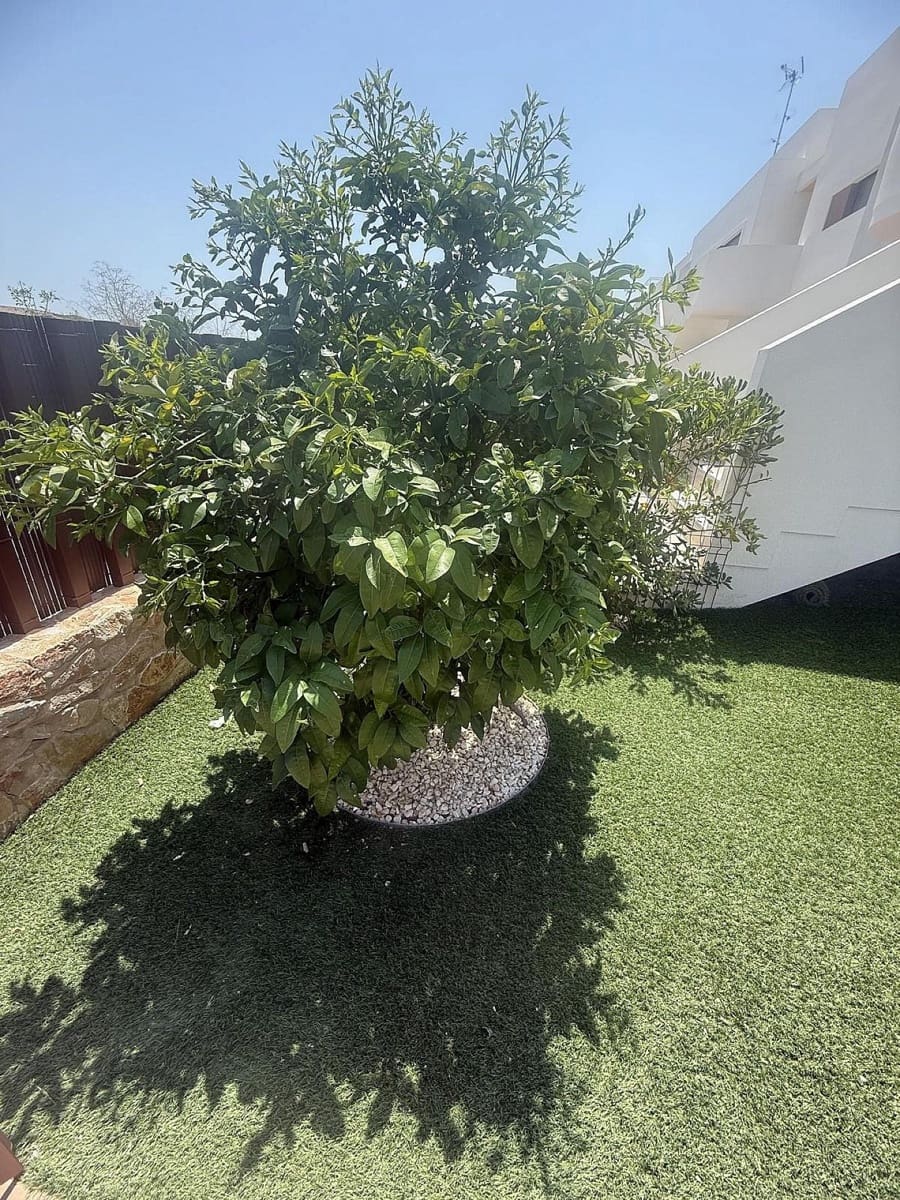 2 quarto Apartamento para venda em Los Montesinos com piscina - 274 950 € (Ref: 9231915)