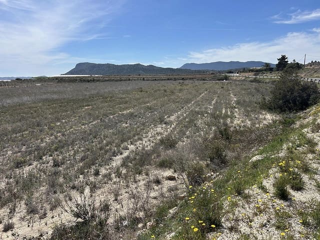 Mark till salu i Hondón de las Nieves - 55 000 € (Ref: 9231920)