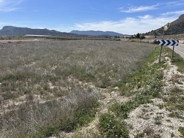 Mark till salu i Hondón de las Nieves - 55 000 € (Ref: 9231920)