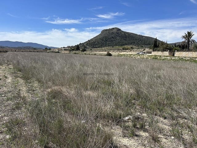 Terre non Aménagée à vendre à Hondón de las Nieves - 55 000 € (Ref: 9231920)