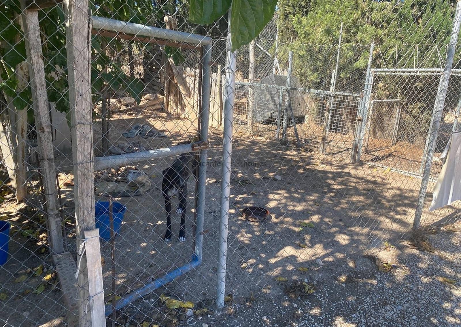 3 Zimmer Villa zu verkaufen in Salinas mit Pool Garage - 249.995 € (Ref: 9237726)