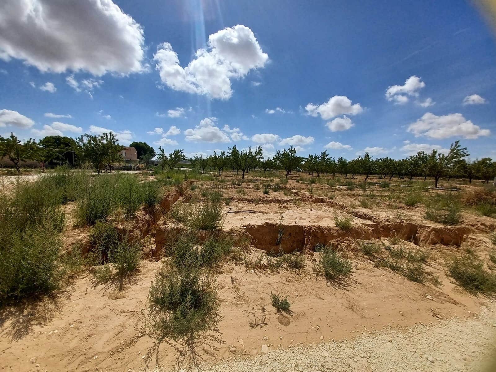 1 soveværelse Villa til salg i Pinoso med swimmingpool - € 239.995 (Ref: 9253913)