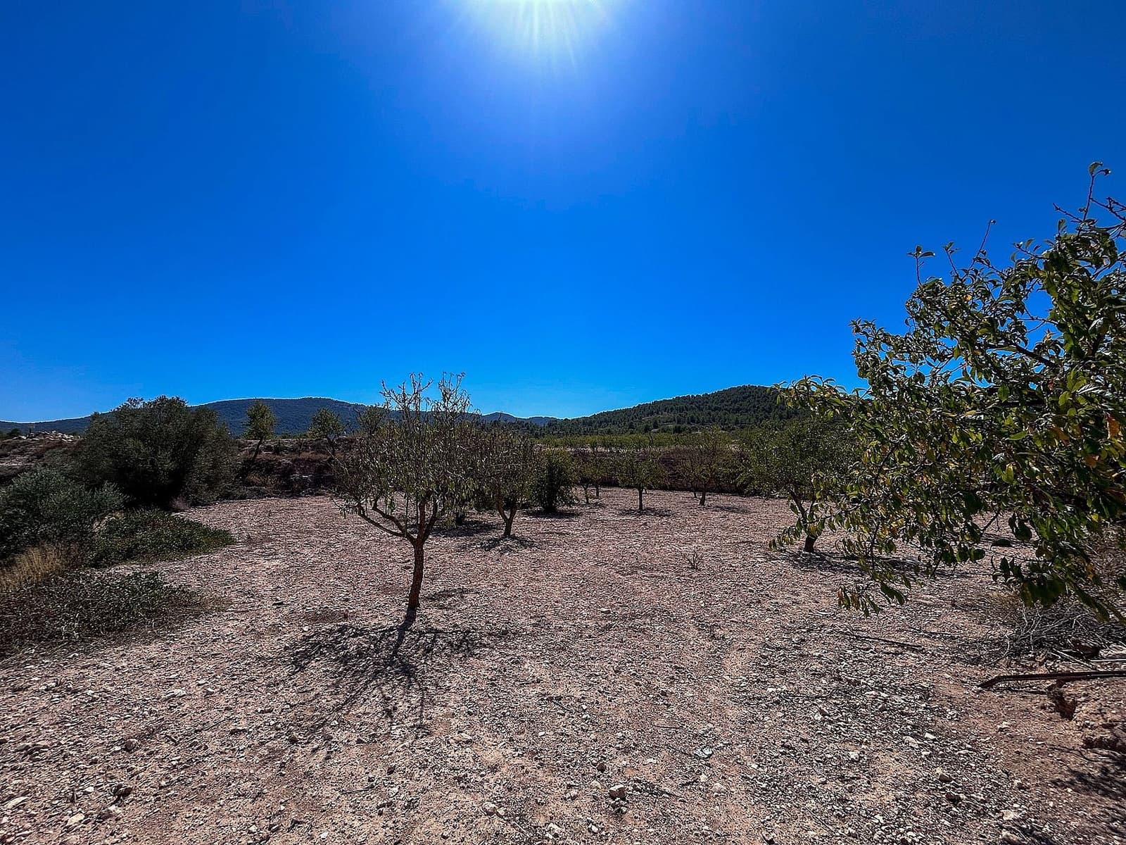 3 soveværelse Finca/Landehus til salg i Monovar / Monover med garage - € 70.000 (Ref: 9253914)