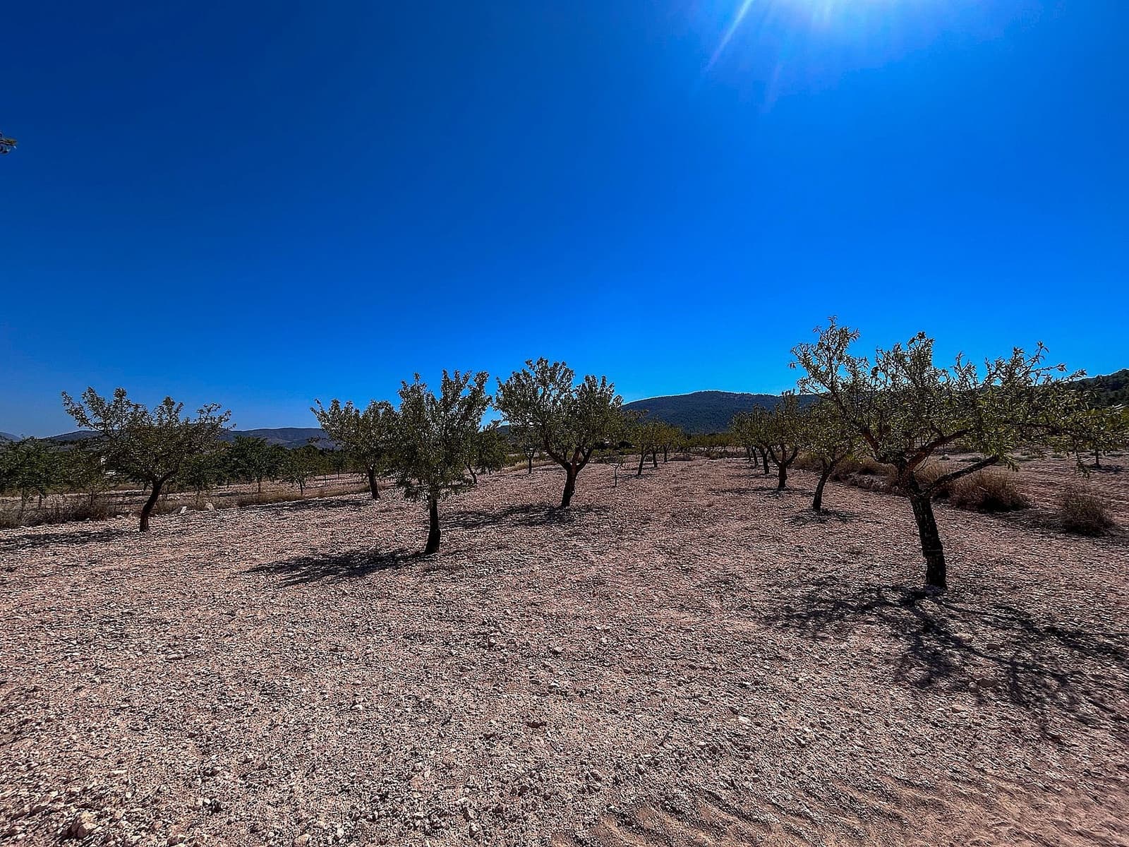 3 soveværelse Finca/Landehus til salg i Monovar / Monover med garage - € 70.000 (Ref: 9253914)