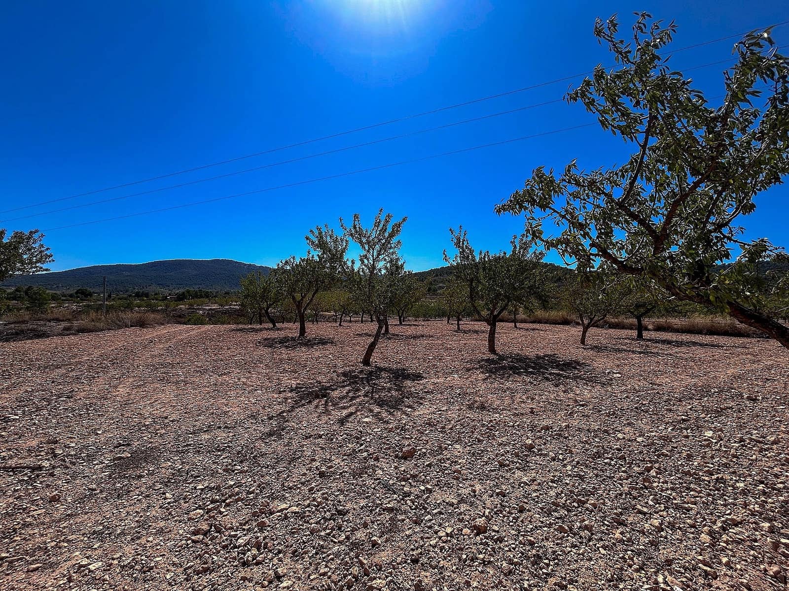 3 soveværelse Finca/Landehus til salg i Monovar / Monover med garage - € 70.000 (Ref: 9253914)