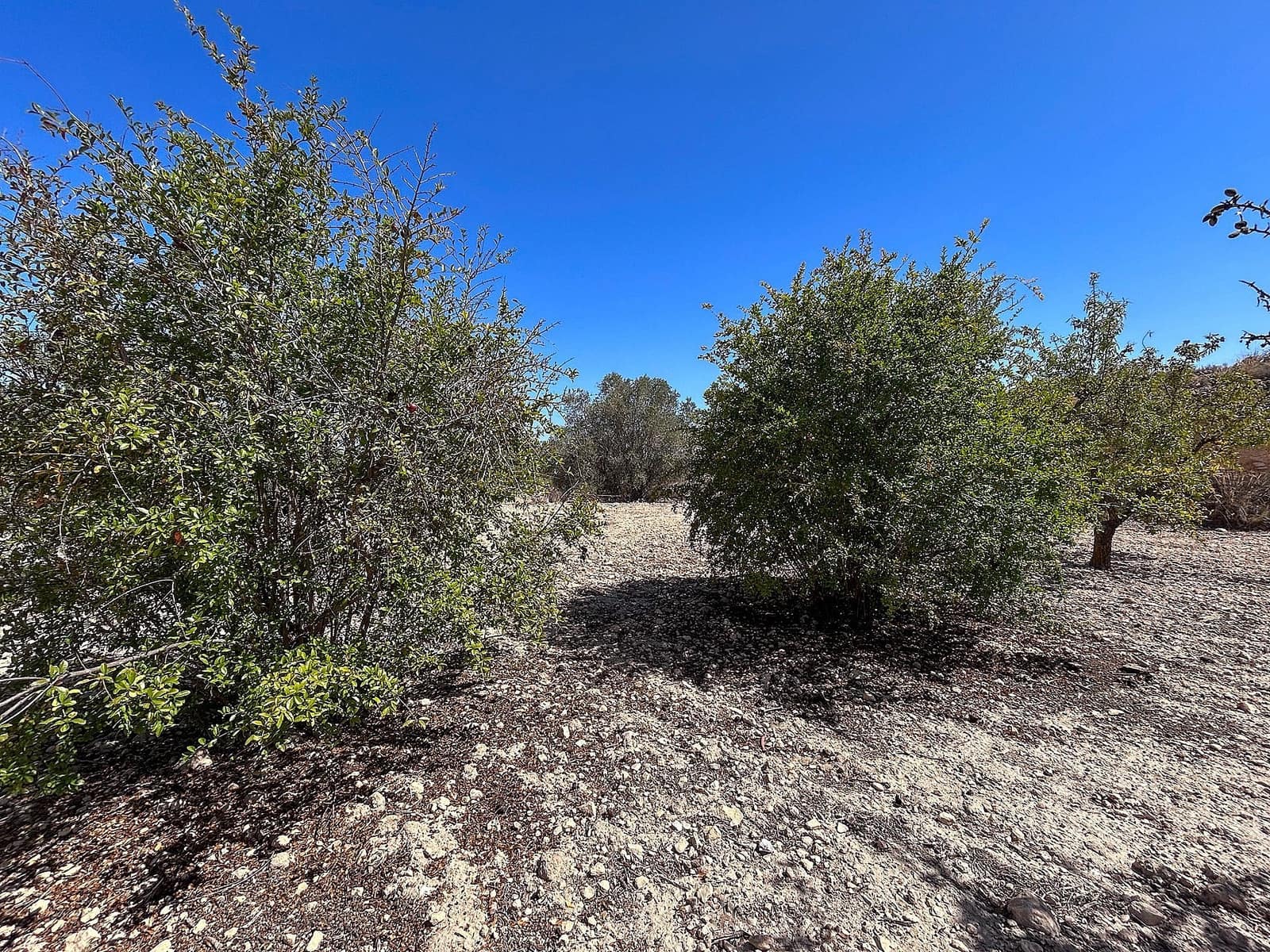 3 soveværelse Finca/Landehus til salg i Monovar / Monover med garage - € 70.000 (Ref: 9253914)