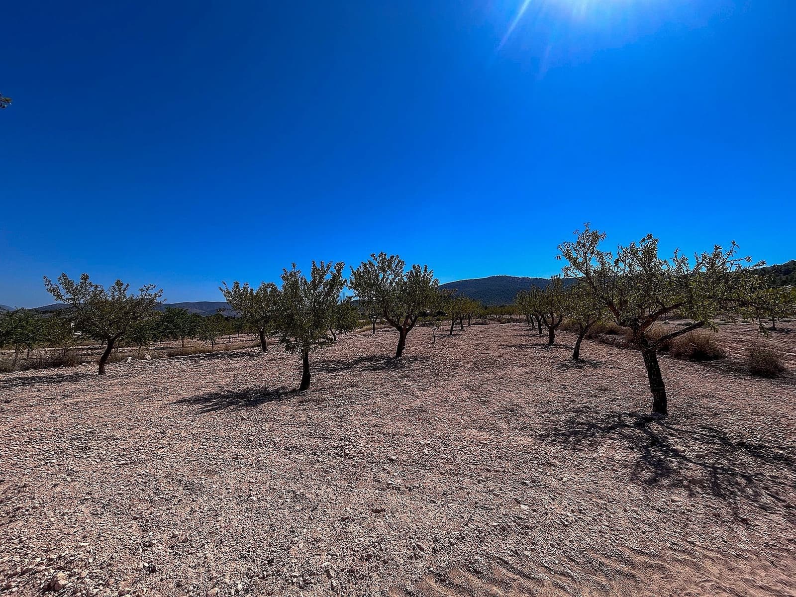 3 soveværelse Finca/Landehus til salg i Monovar / Monover med garage - € 70.000 (Ref: 9253914)