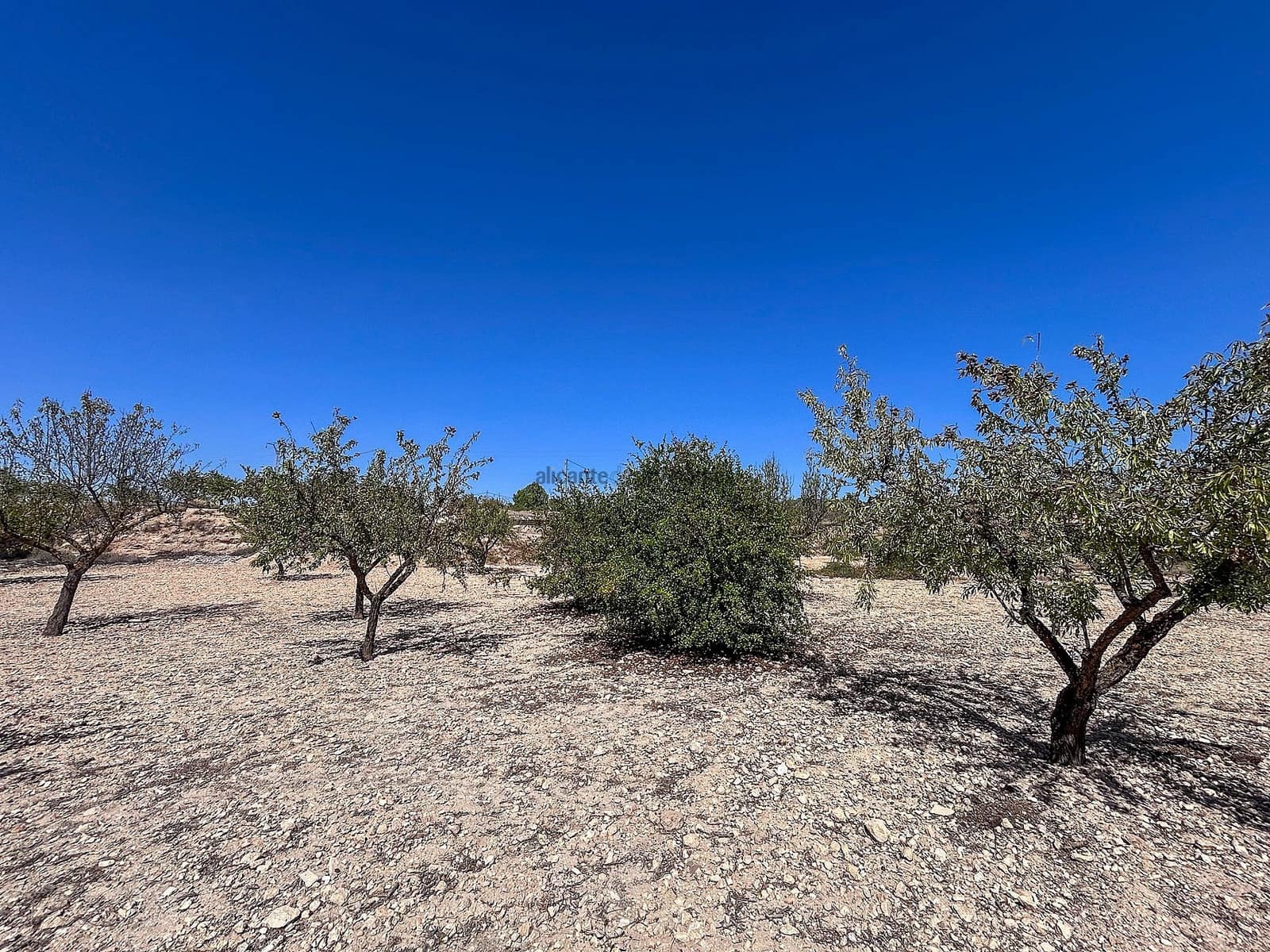 3 soveværelse Finca/Landehus til salg i Monovar / Monover med garage - € 70.000 (Ref: 9253914)