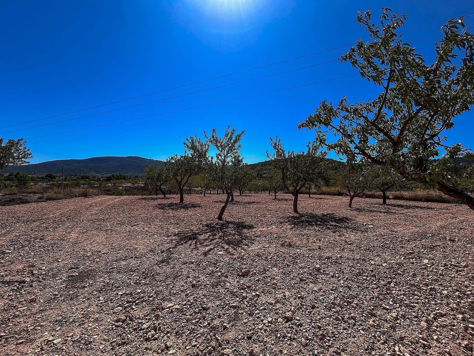 3 soveværelse Finca/Landehus til salg i Monovar / Monover med garage - € 70.000 (Ref: 9253914)