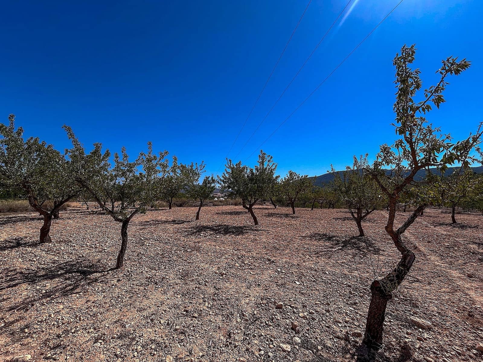 3 soveværelse Finca/Landehus til salg i Monovar / Monover med garage - € 70.000 (Ref: 9253914)